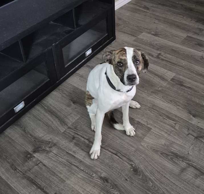 Photo of Coco