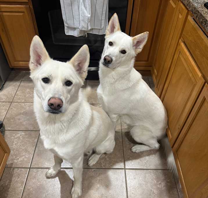 Photo of Bruno &luke