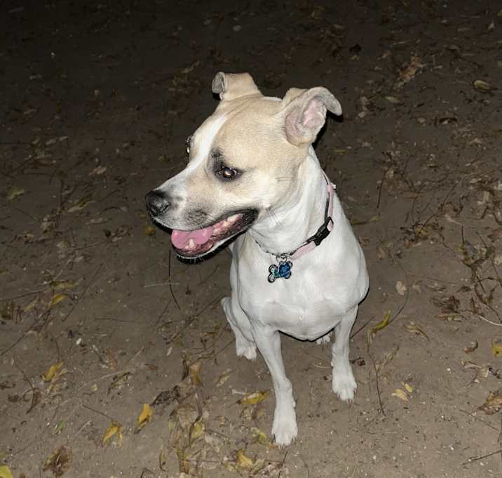Photo of Nellie