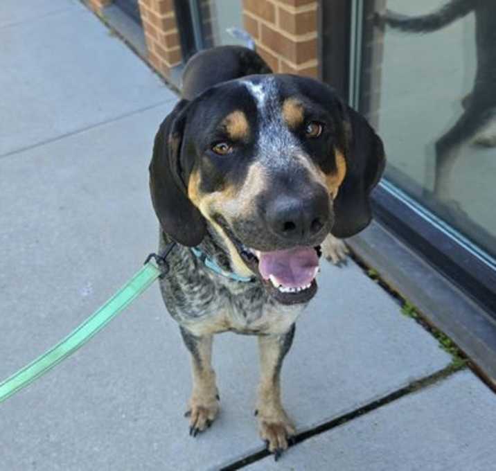 Photo of Buford