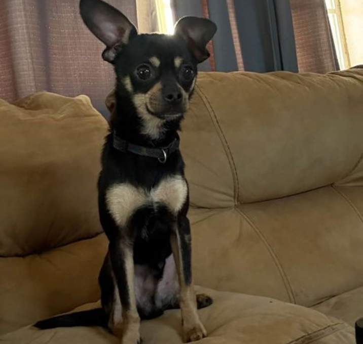 Photo of Jasper