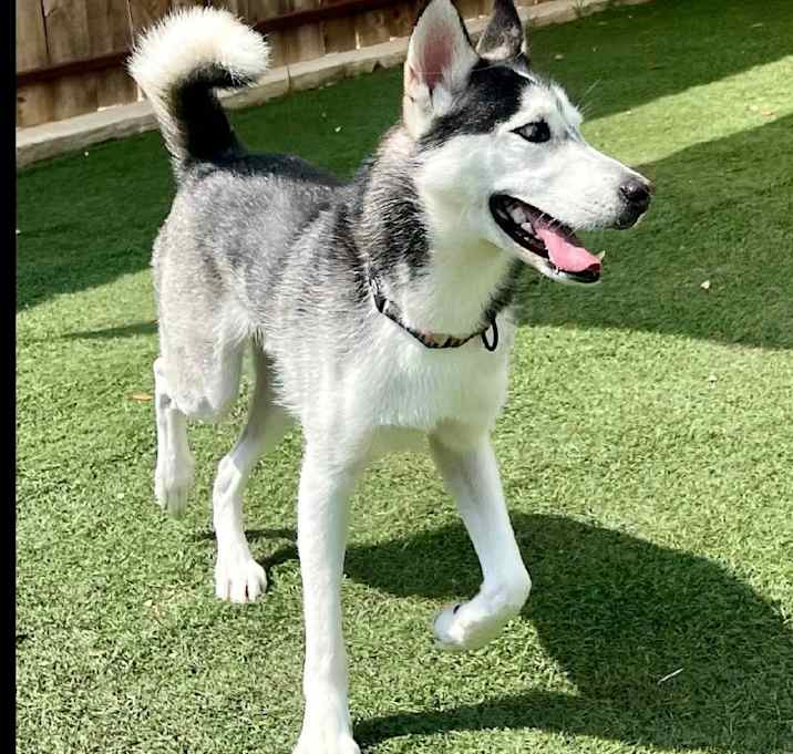 Photo of Echo JG