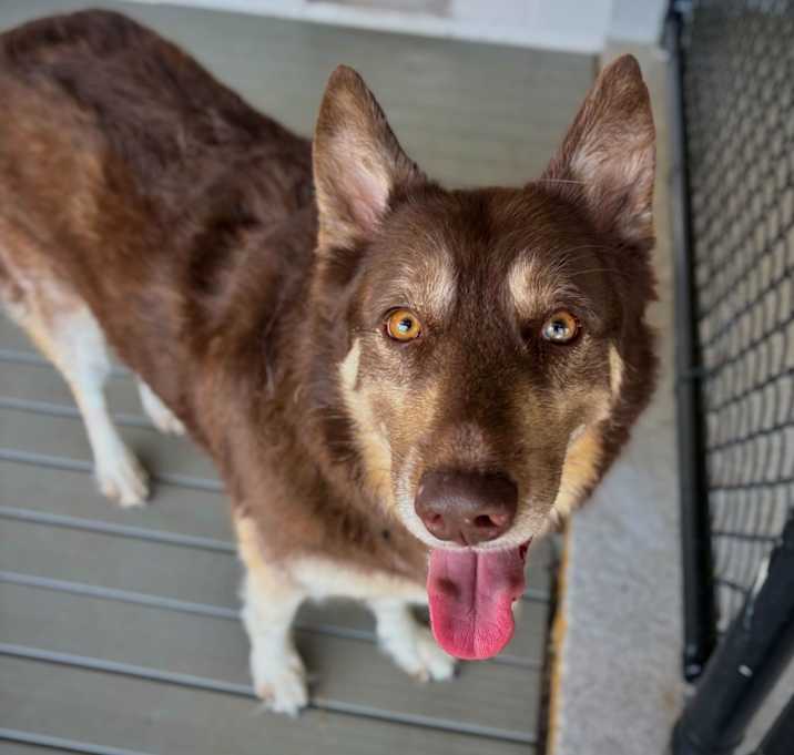 Photo of Freya