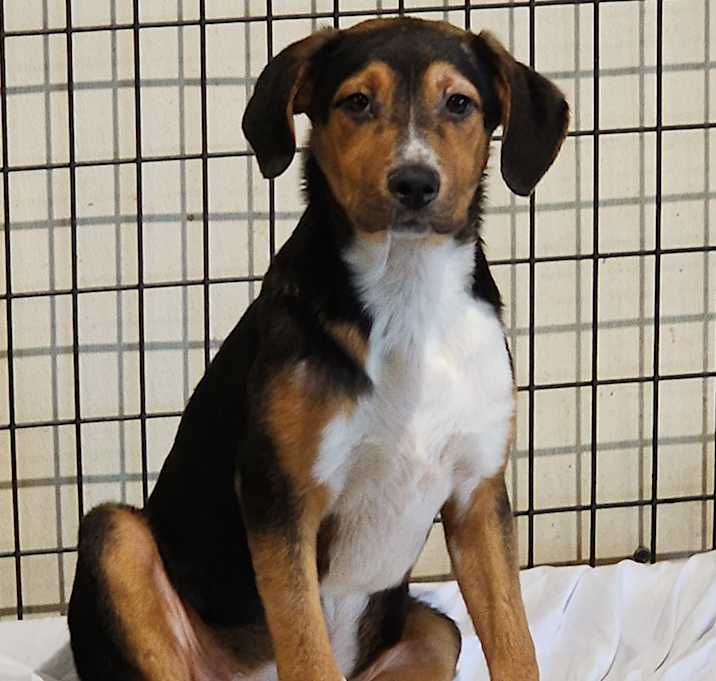 Photo of Tinker ~ meet me!