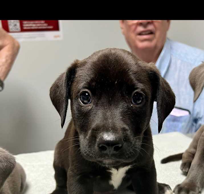 Photo of Jet