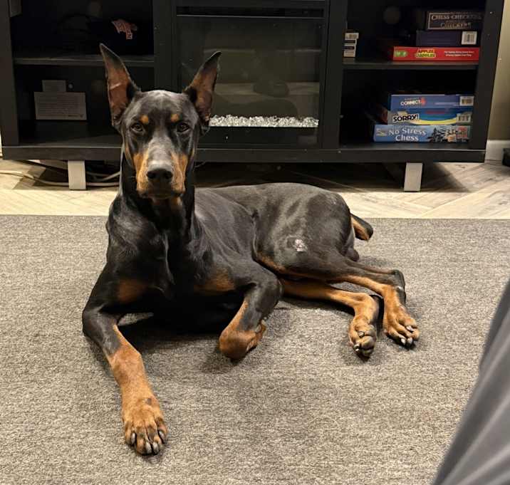 Photo of Dior