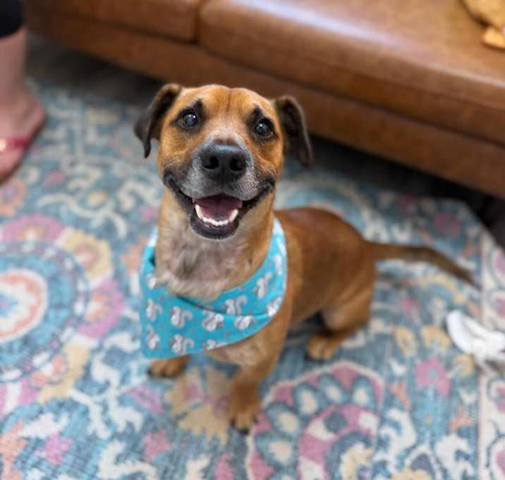 Photo of Lil Guy