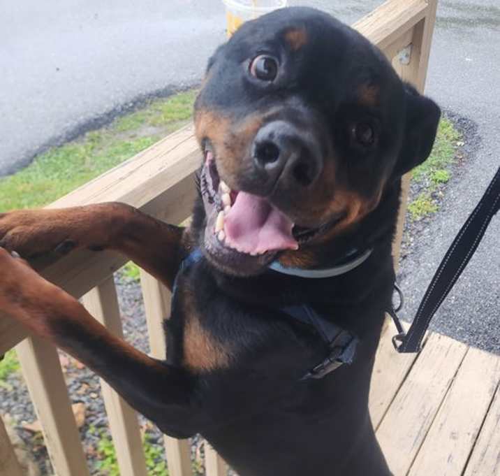 Photo of Macho