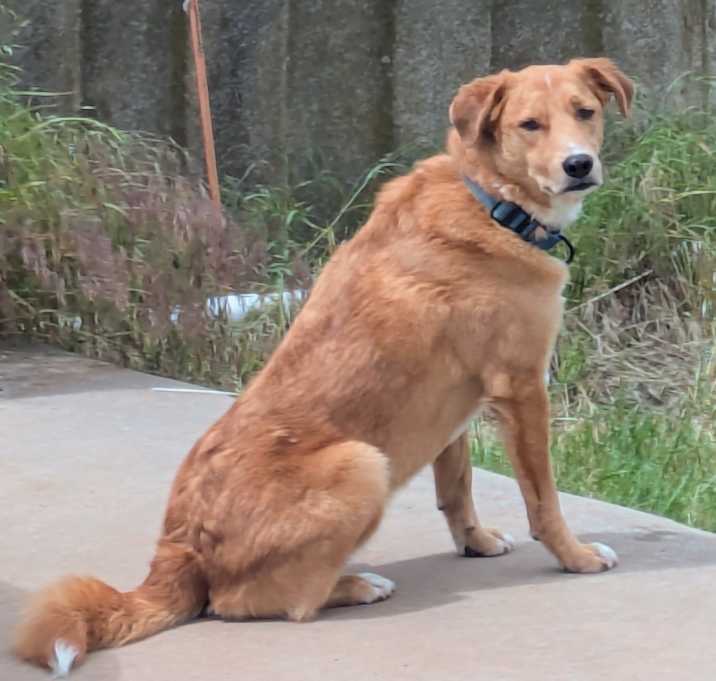 Photo of Rowdy Bee