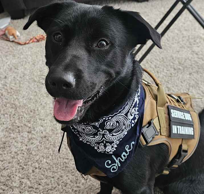 Photo of Diesel