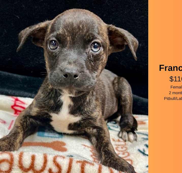 Photo of Francine