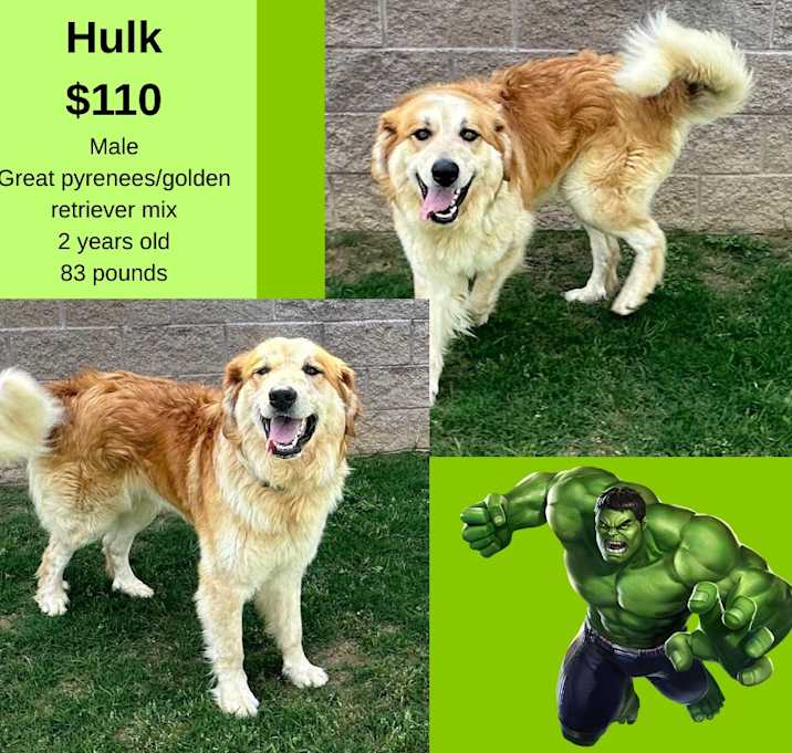 Photo of Hulk