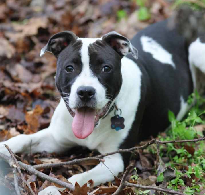 Photo of Belle