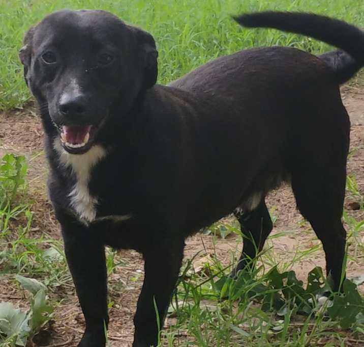 Photo of PEPPER