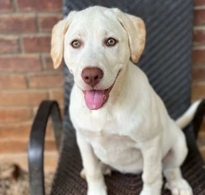 Photo of Sugar
