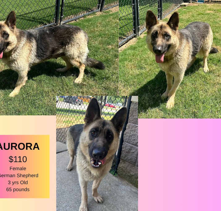 Photo of Aurora
