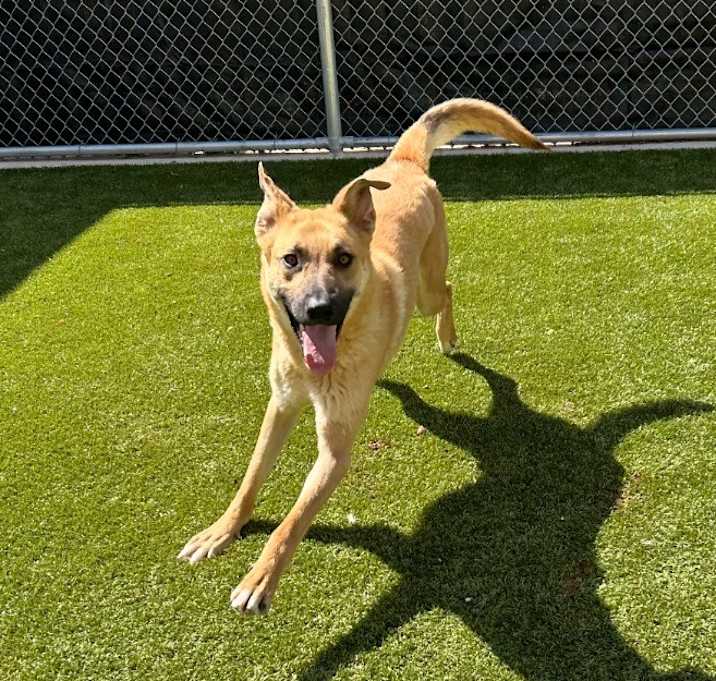 Photo of Yogi