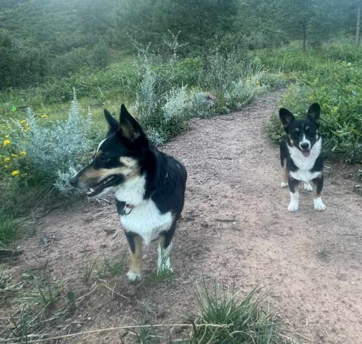 Photo of Jessie and Frank