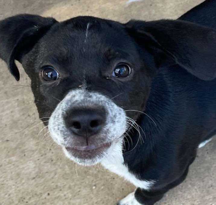 Photo of Cash