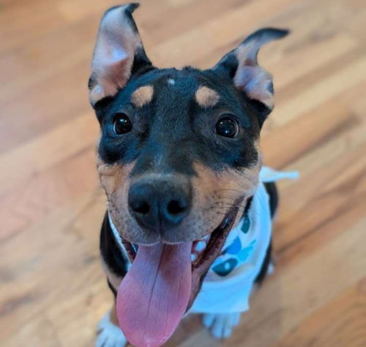 Photo of Remy Roo