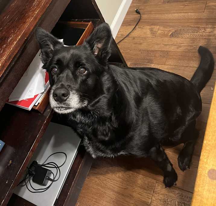 Photo of Zeke