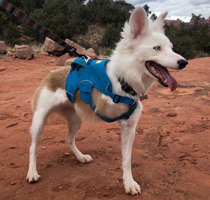 Photo of Payson