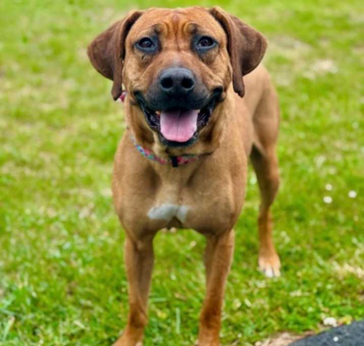 Photo of Cassie
