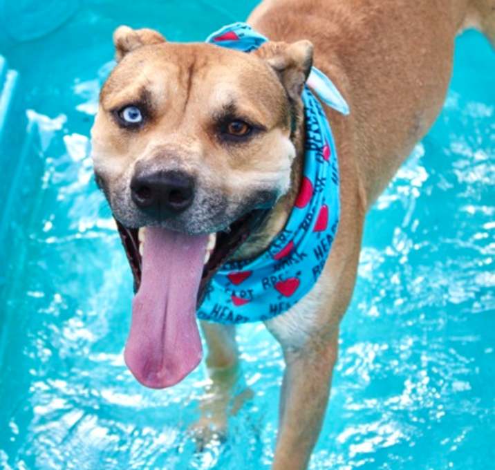 Photo of Rowdy