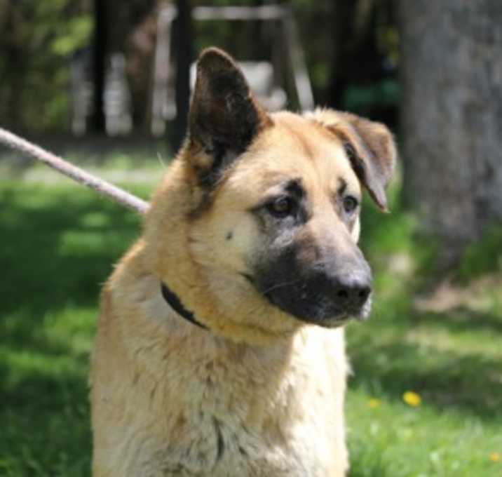 Photo of Sukara