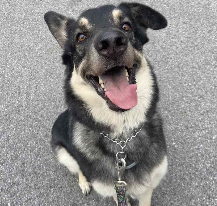 Photo of Fynn
