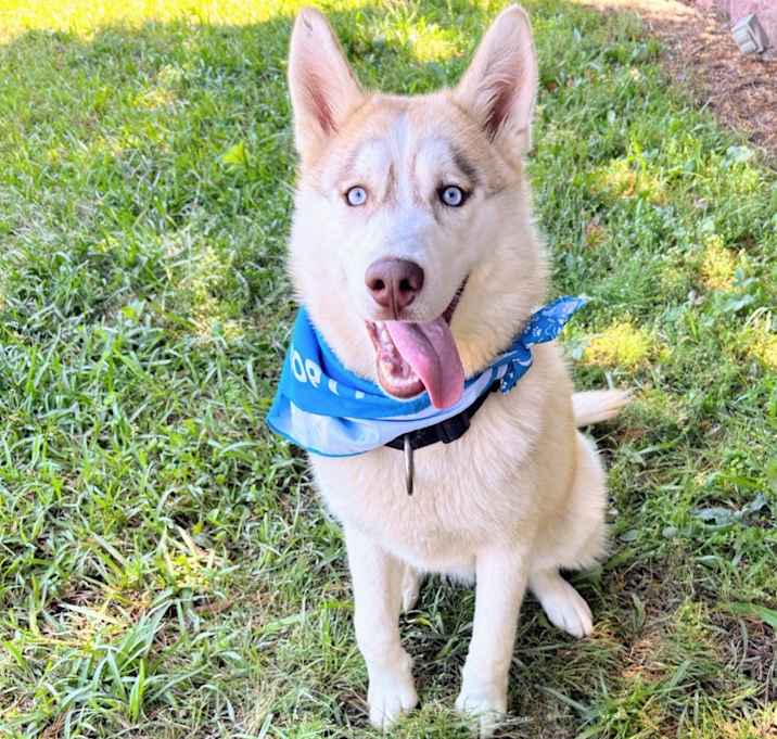 Photo of Ghost