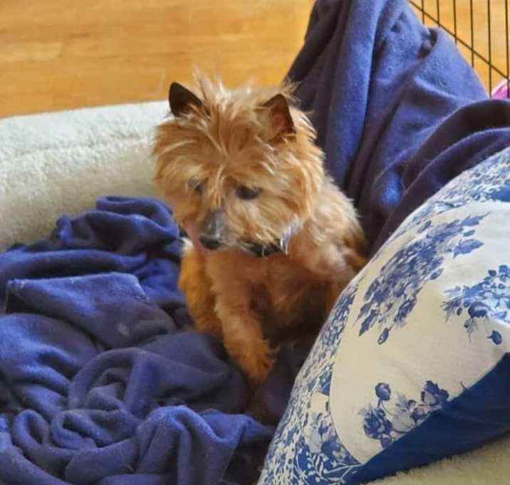 Photo of Sassy