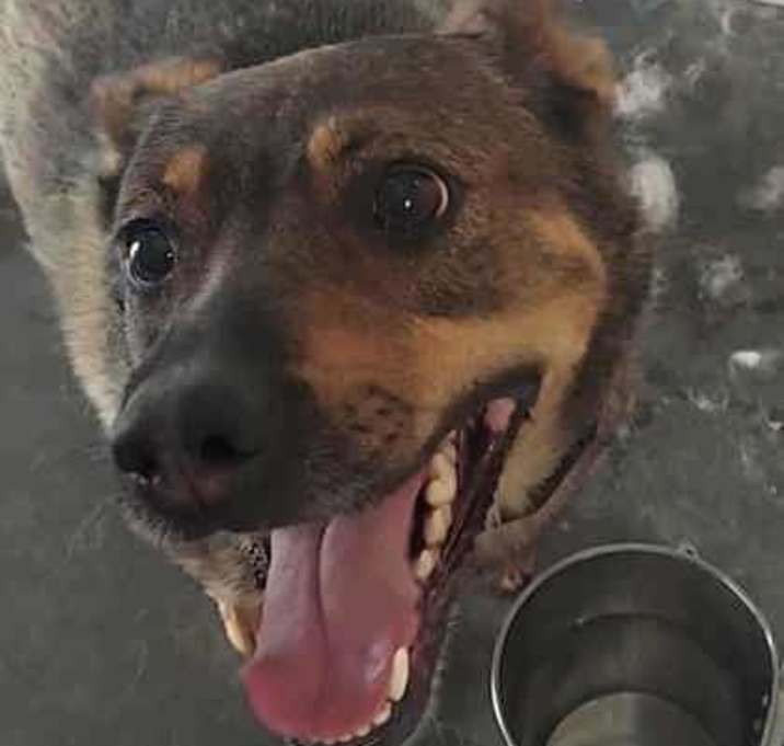 Photo of Echo