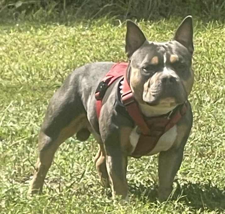 Photo of Sammy