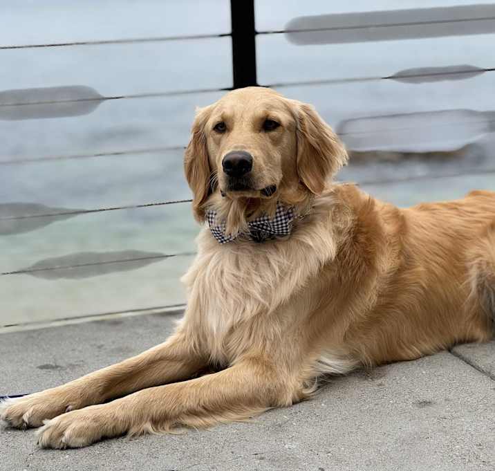 Photo of Sammy