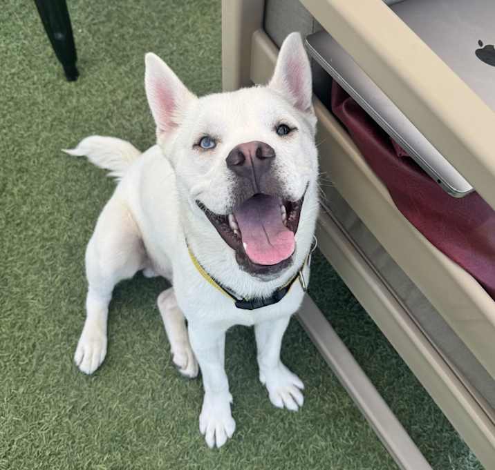 Photo of Floyd