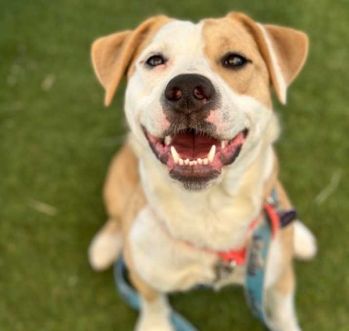 Photo of Luna