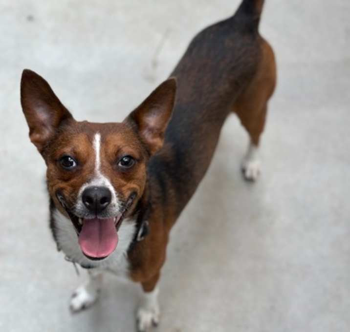 Photo of Rogue