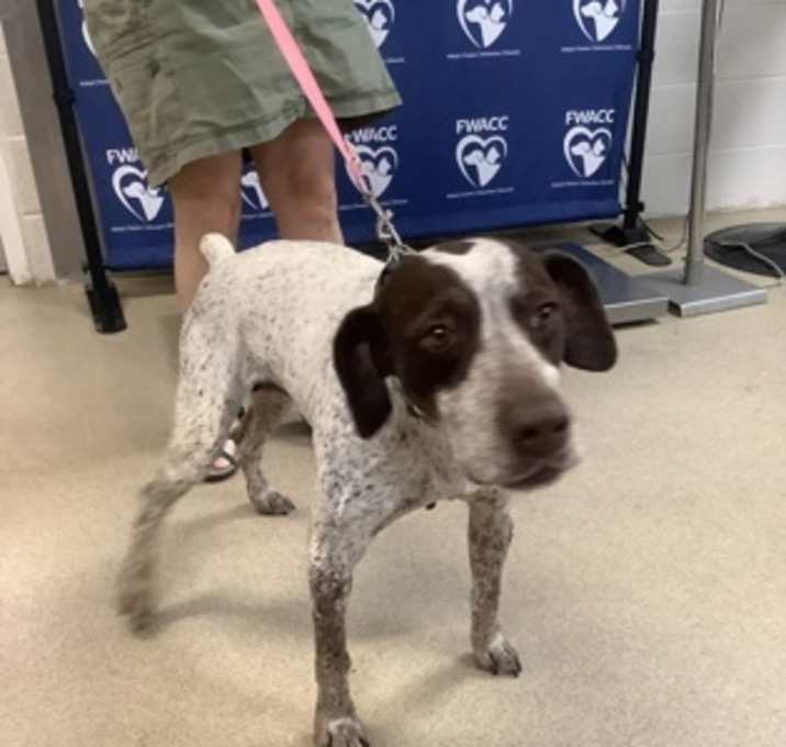 Photo of Tootsie