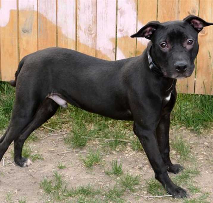 Photo of EMMETT