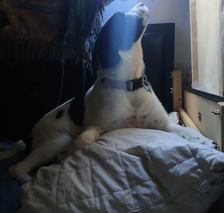 Photo of Miyo