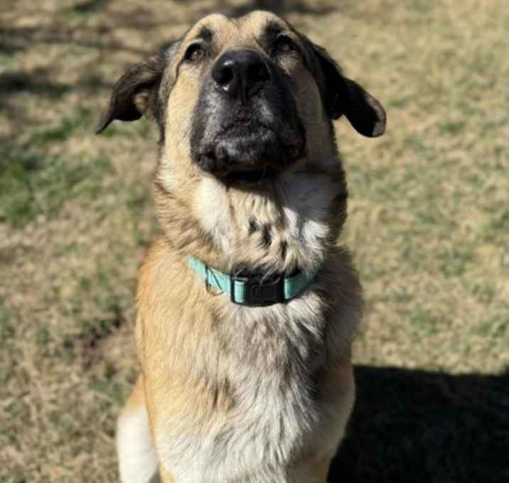 Photo of Hercules
