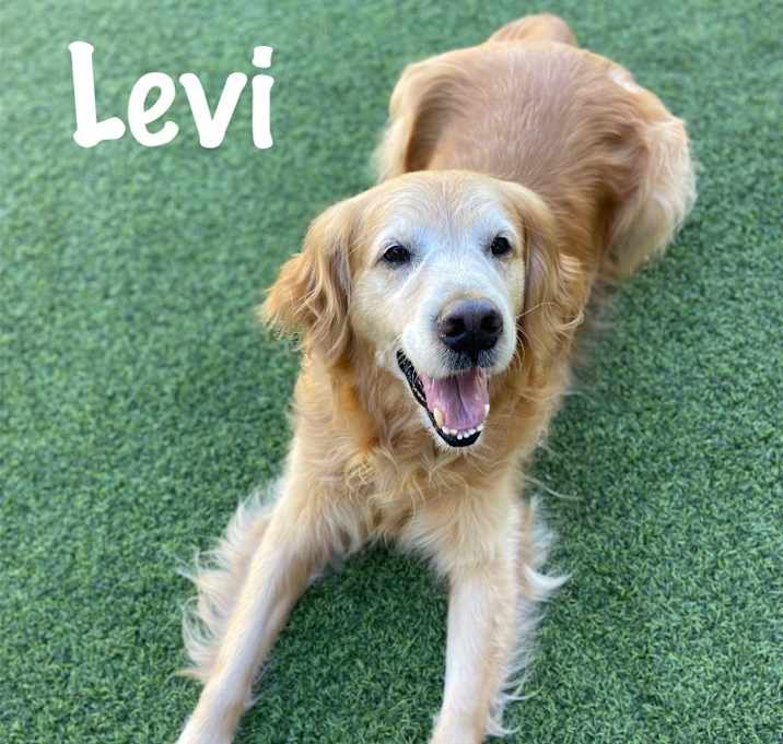 Photo of Levi
