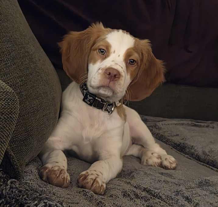 Photo of Duke