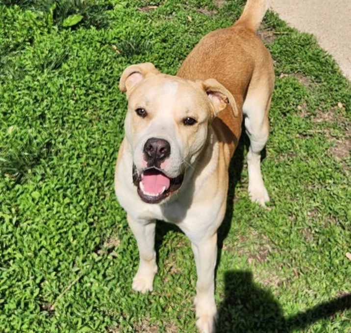Photo of Tucker