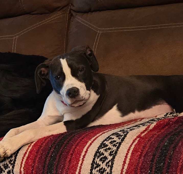 Photo of Teeter