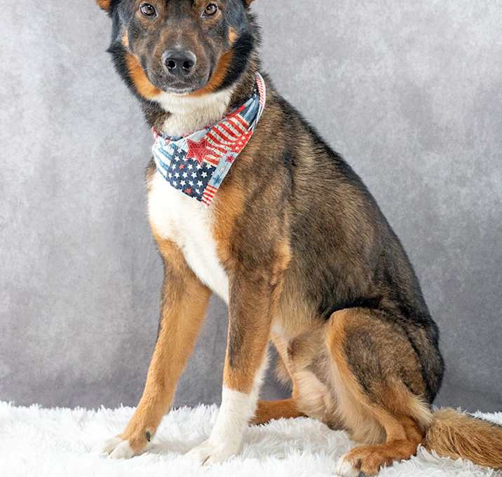 Photo of Yoshi