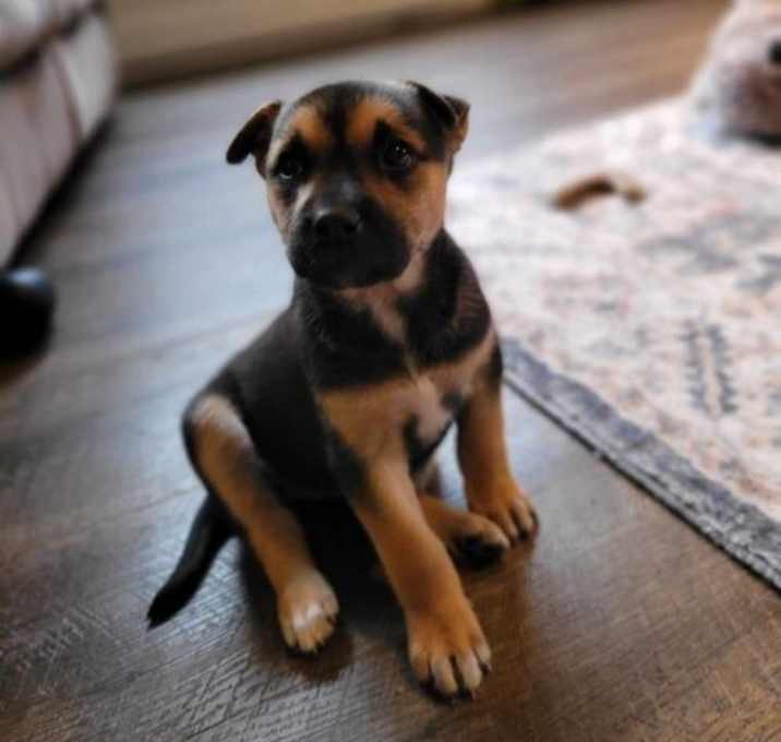 Photo of Hoka