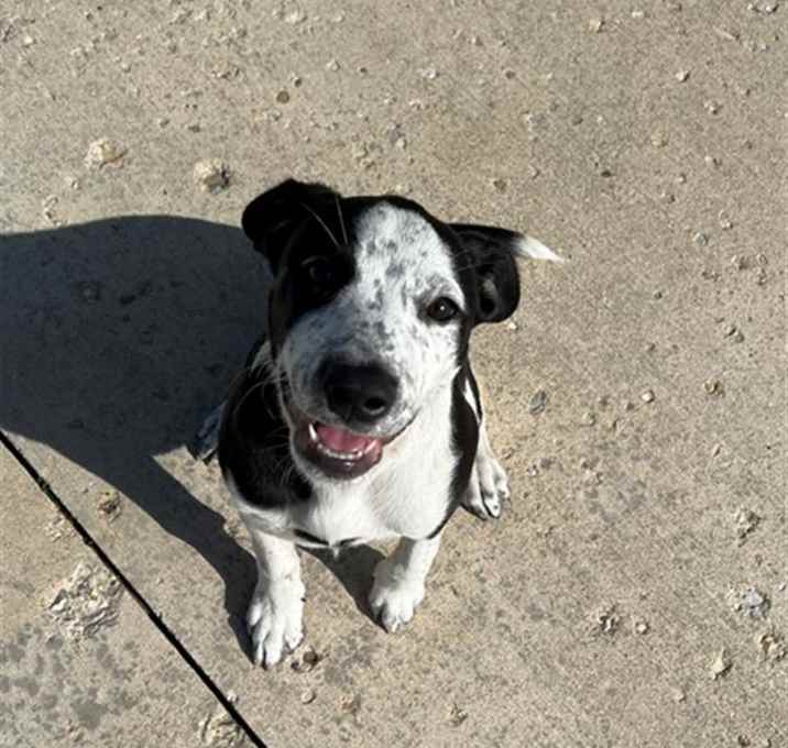 Photo of MITZI