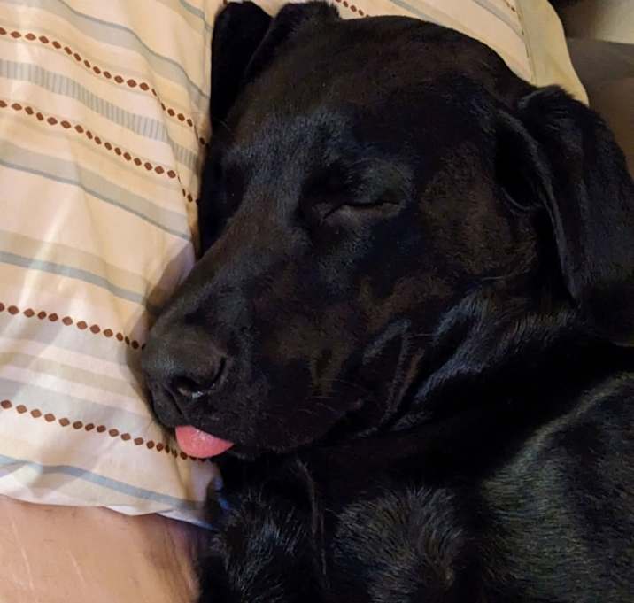 Photo of Remi